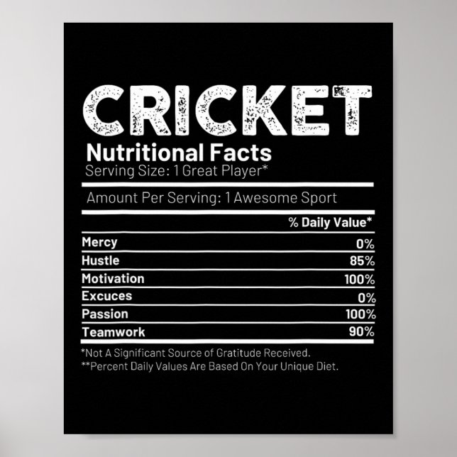 Cricketspieler-Geschenk für Männer  Poster (Vorne)