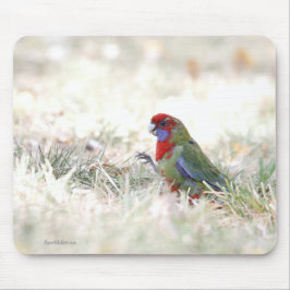 Crimson Beauty Mousepad
