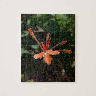 Crimson Bloom – Naturs Petalsymphonie Puzzle