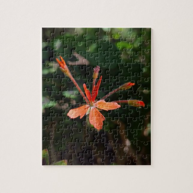 Crimson Bloom – Naturs Petalsymphonie Puzzle (Vertikal)