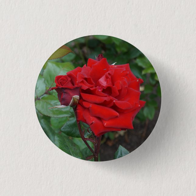Crimson Bouquet Rose #2 Button (Vorderseite)