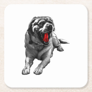 Crimson Cider Companion Rechteckiger Pappuntersetzer