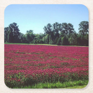 Crimson Clover Field Rechteckiger Pappuntersetzer