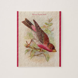 Crimson Fronted Finch Puzzle