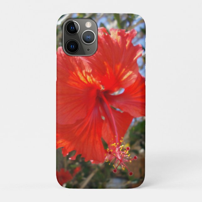"Crimson Grace: Roter Hibiskus Blooming on a Tree" Case-Mate iPhone Hülle (Rückseite)