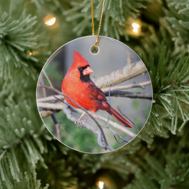 Crimson Kardinal Wappen Premium Ornament (Baum)