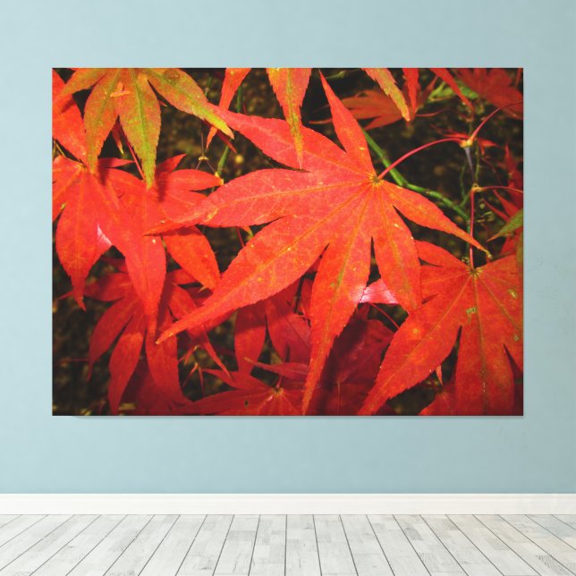 Crimson Maple-Blätter - Leinwanddruck (Insitu (Holzboden))