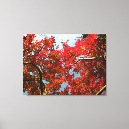 Crimson Myrtle #2 Leinwanddruck