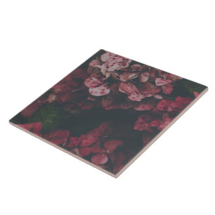 Crimson Petal Schatten Dekorative Keramikfliese