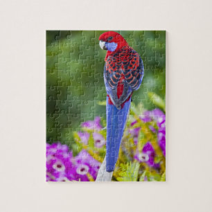 Crimson Rosella & Hintergrund der Orchideen Laming Puzzle