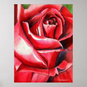 Crimson Rote Rose Original Aquarellmalerei Poster