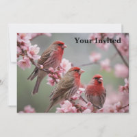 "Crimson Trio: Rote Finches inmitten rosa Blüten"