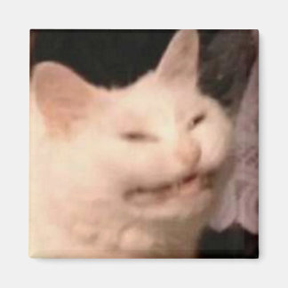 Cringe-Katzen-Meme Magnet