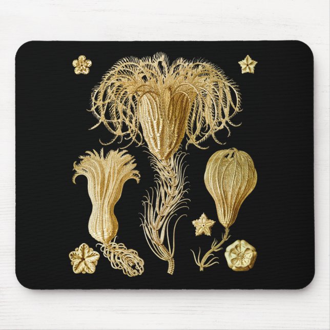 Crinoids Mousepad (Vorne)