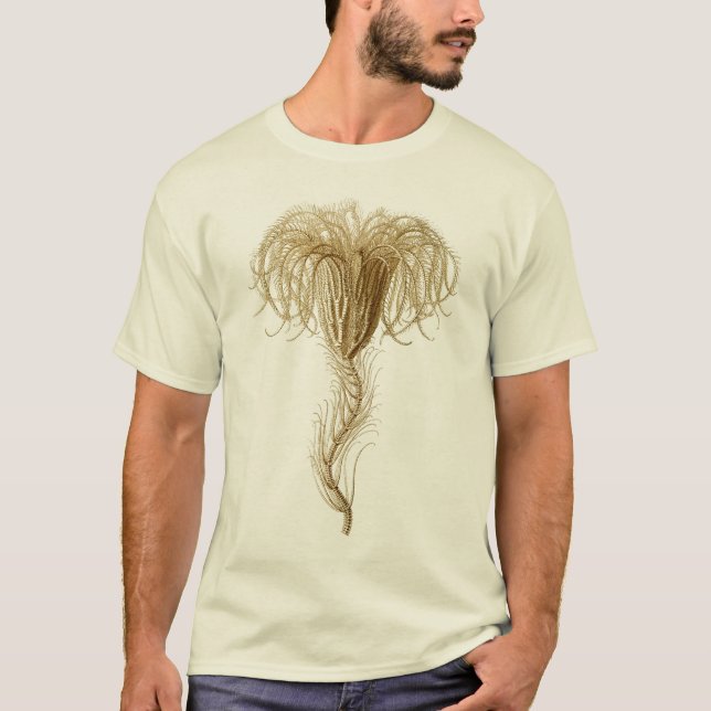 Crinoids T-Shirt (Vorderseite)