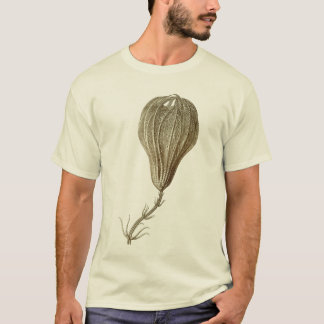 Crinoids T-Shirt
