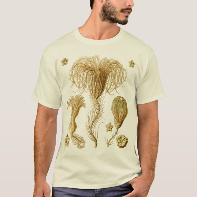 Crinoids T-Shirt (Vorderseite)