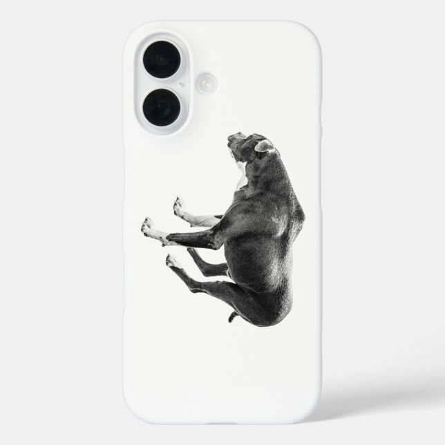Crisp-Air-Companion Case-Mate iPhone Hülle (Rückseite)