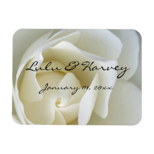 Crisp White Rose Magnet