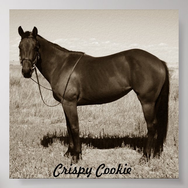 Crispy Cookie Poster (Vorne)