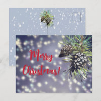 Cristmas Card