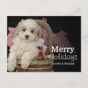 Cristmas Malti-poo puppy sitting in basket Feiertagspostkarte