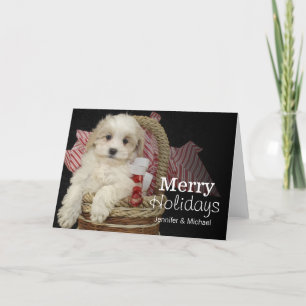 Cristmas Malti-poo Welpe, der im Korb sitzt Feiertagskarte