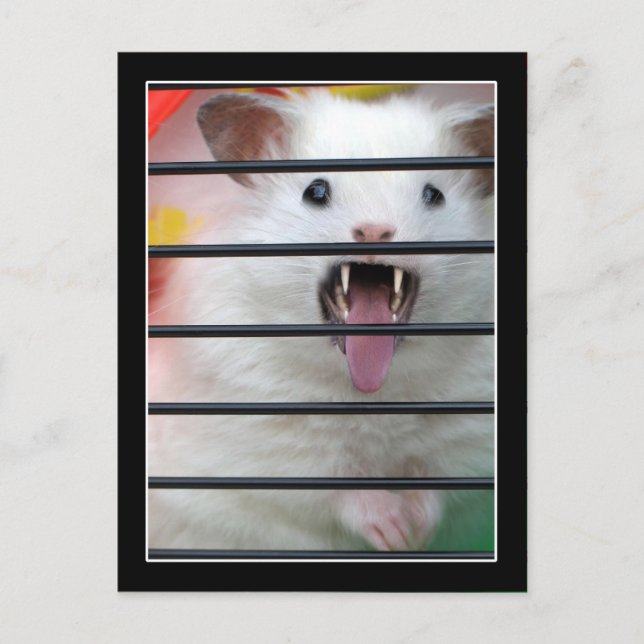 Critter ist ein Gemeiner Hamster Postkarte (Vorderseite)
