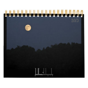 Critters & Bugs Wall Calendar 2013 Kalender