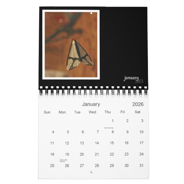 Critters & Bugs Wall Calendar 2013 Kalender (Jan 2026)