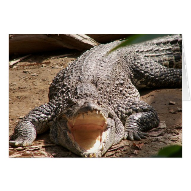 Croc Smile (Vorderseite (Horizontal))