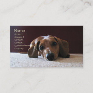 crockettsperfectpic, Name, Adresse 1, Adresse 2… Visitenkarte