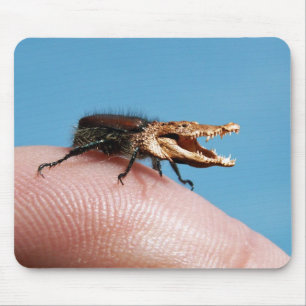 Crocobeetle mousepad