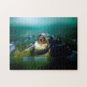 Crocodile Eye, Jigsaw Puzzle
