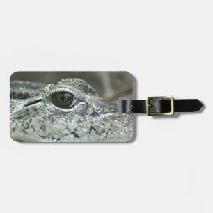Crocodile Eye Luggage Tag Gepäckanhänger
