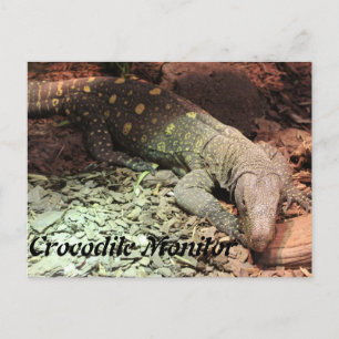 Crocodile Montior Postkarte
