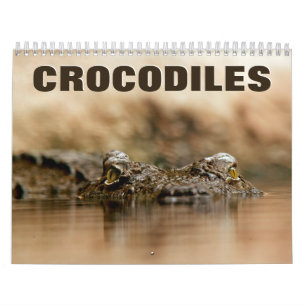 Crocodiles Wall Calendar Kalender