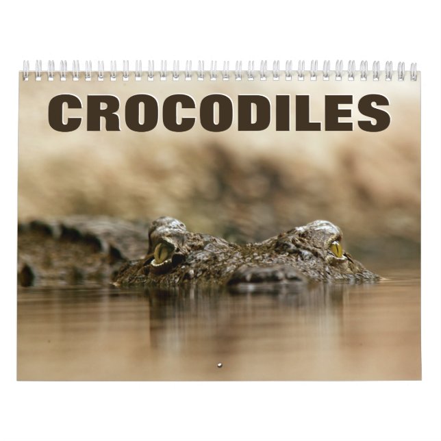 Crocodiles Wall Calendar Kalender (Titelbild)