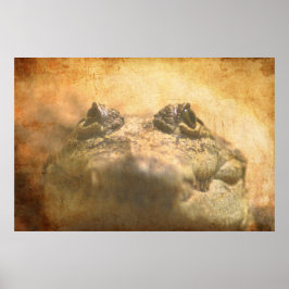Crocodylus Moreletii Nah Poster