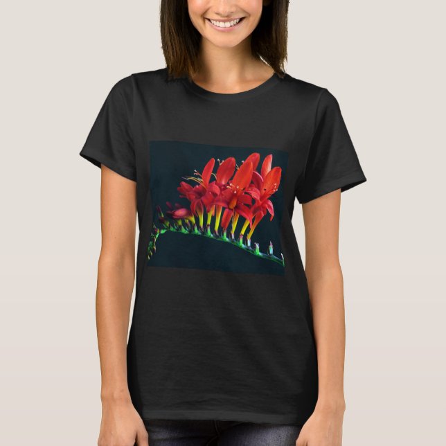 Crocosomia Lucifer Montbretia Floral T-Shirt (Vorderseite)