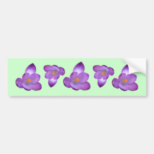 Crocus 1, Crocus 1, Crocus 1, Crocus 1, Crocus 1, Autoaufkleber