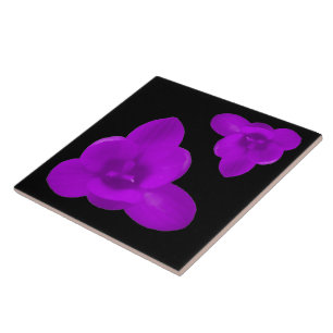 Crocus Blume Lila Tile Fliese