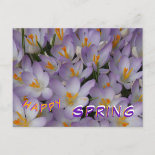 Crocus Blume Muster Happy Spring Postcard Postkarte