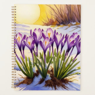 Crocus Blume Planer
