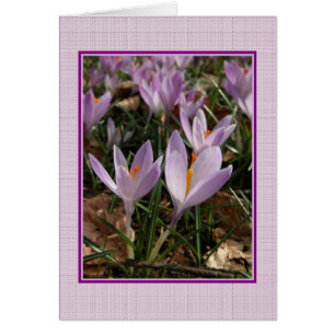 Crocus Card