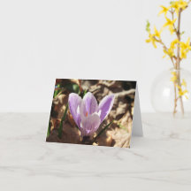 Crocus Emerging Card (leer)