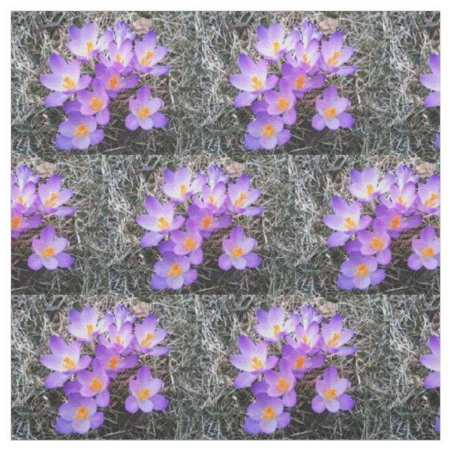 CROCUS ERSTE ANZEICHEN VON SPRINGgewebe Stoff (Muster)