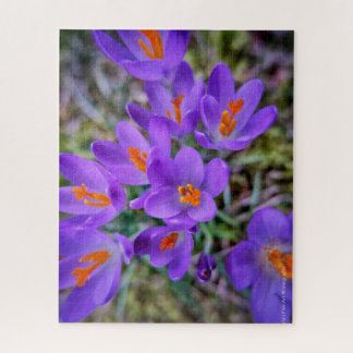 Crocus Fine Art Puzzle