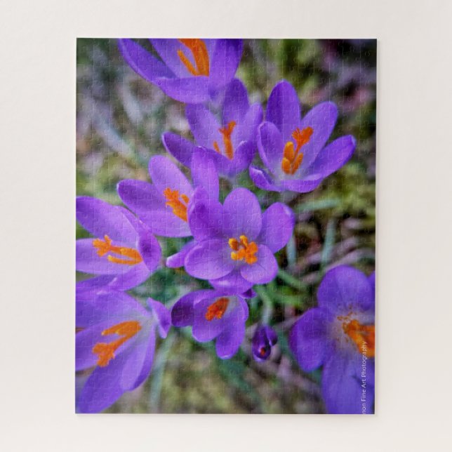 Crocus Fine Art Puzzle (Vertikal)