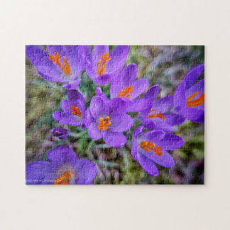 Crocus Fine Art Puzzle